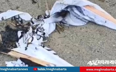 নাটোর-১ আসনে বিএনপির প্রার্থীর ব্যানার পুড়িয়ে দেওয়ার অভিযোগ