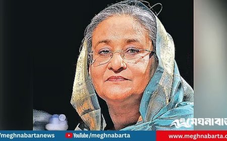 দিল্লিতে শেখ হাসিনার সঙ্গে যুক্তরাজ্য আওয়ামী লীগের প্রতিনিধিদলের সাক্ষাৎ