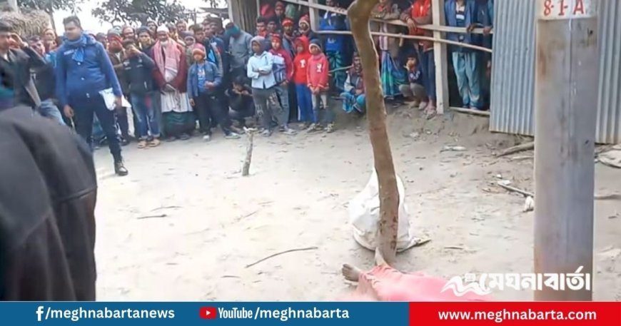 চোর সন্দেহে যুবককে পিটিয়ে হত্যার অভিযোগ, আটক ৩