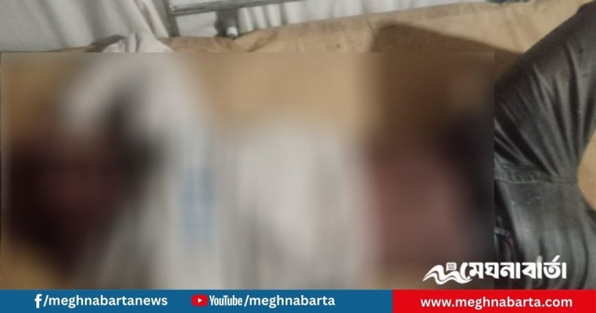 চাঁদপুরে গভীর রাতে সড়ক দুর্ঘটনা, অটোরিকশা যাত্রী নিহত