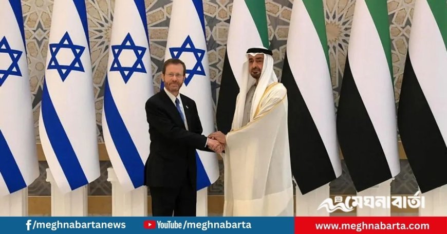 গাজায় গণহত্যায় ইসরায়েলকে সহায়তা: মুসলিম দেশের গোপন নথি ফাঁস