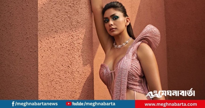 ধানুশের সঙ্গে বিয়ের গুঞ্জন: নীরবতা ভাঙলেন ম্রুণাল ঠাকুর