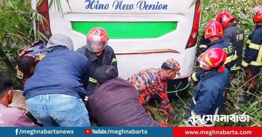 ইজিবাইককে চাপা দিয়ে খাদে যাত্রীবাহী বাস, মাদারীপুরে নিহত ৬