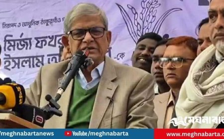 জামায়াত দেশটাকে আফগানিস্তান বানাতে চায়: মির্জা ফখরুল