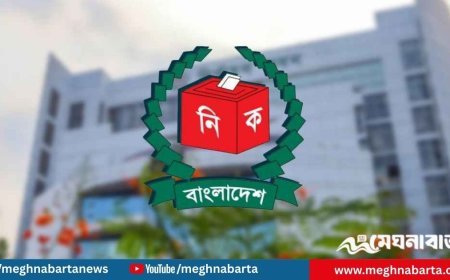 সংবিধান অনুযায়ী যেভাবে গঠিত হবে নতুন সরকার
