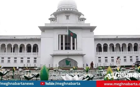 গণভোটের ফল বাতিল চেয়ে হাইকোর্টে রিট