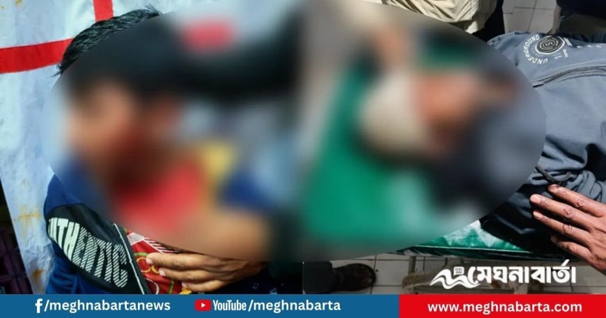 হাতিয়ায় এনসিপি প্রার্থীর পথসভায় ইটপাটকেল নিক্ষেপ, উত্তেজনা