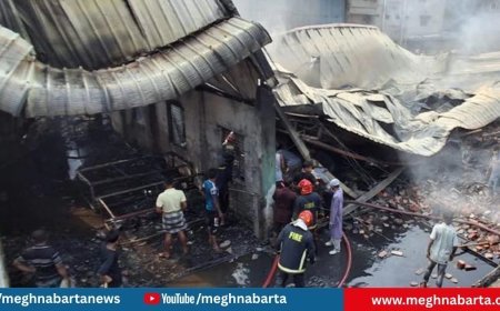 গ্যাস সিলিন্ডার বিস্ফোরণে কারখানায় আগুন, নিহত ৫